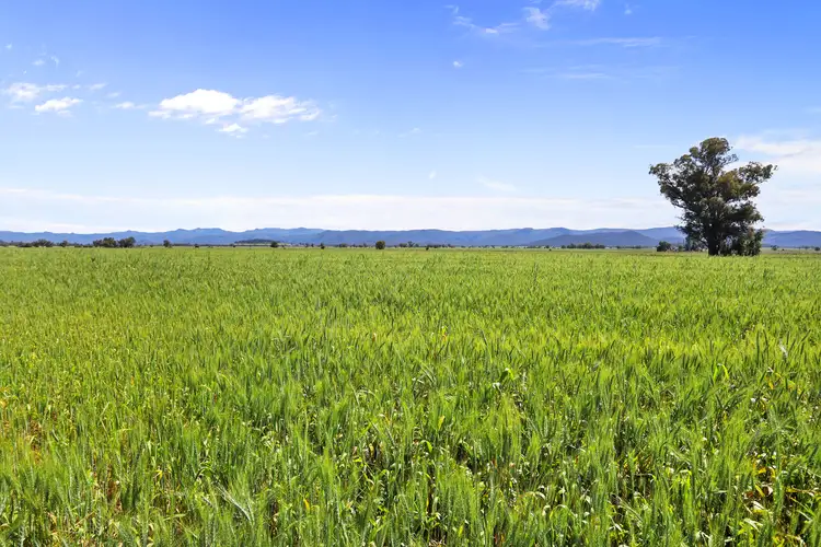 Montrose 109 Thornfield Crossing Road, Narrabri NSW 2390