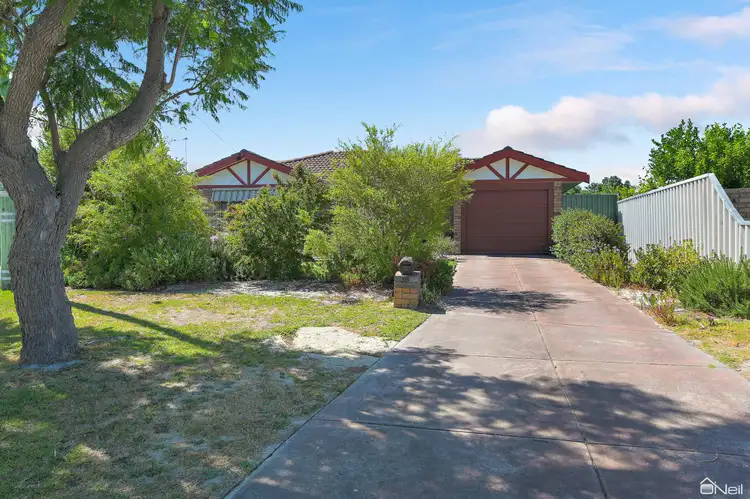 38 Silverhill Loop, Seville Grove WA 6112