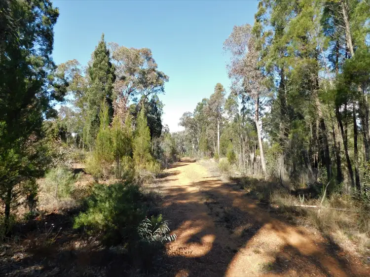 Seventh view of Homely rural property listing, The Rock 212 Purlewaugh Road, Coonabarabran NSW 2357