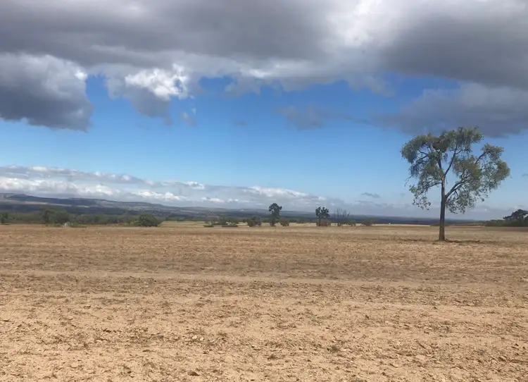 Fourth view of Homely rural property listing, "Wongawilli" 796 Neible Road, Coolah NSW 2843