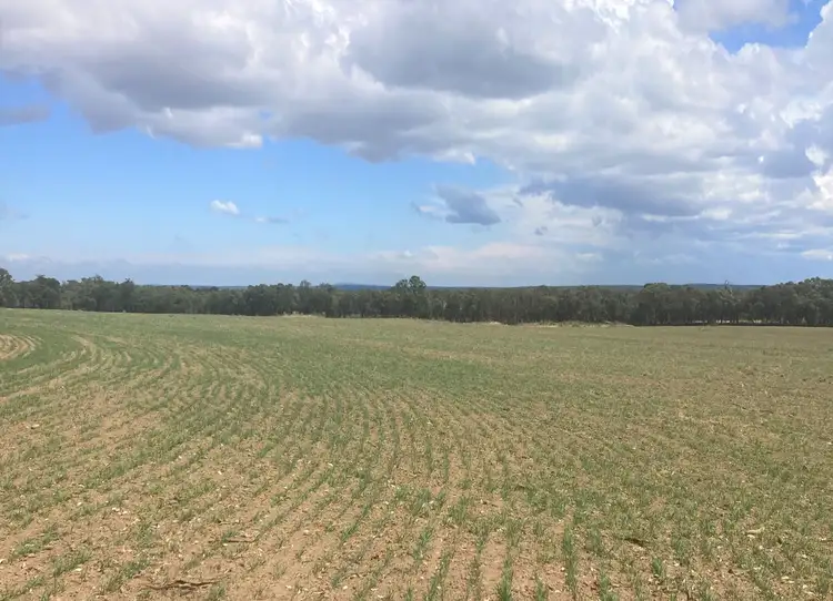Fifth view of Homely rural property listing, "Wongawilli" 796 Neible Road, Coolah NSW 2843