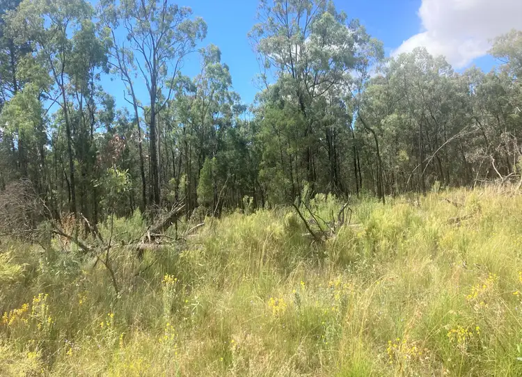 Seventh view of Homely rural property listing, "Wongawilli" 796 Neible Road, Coolah NSW 2843