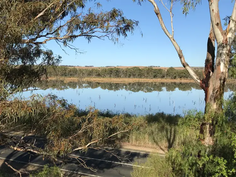 Second view of Homely rural property listing, 301 Purnong Road, Mannum SA 5238