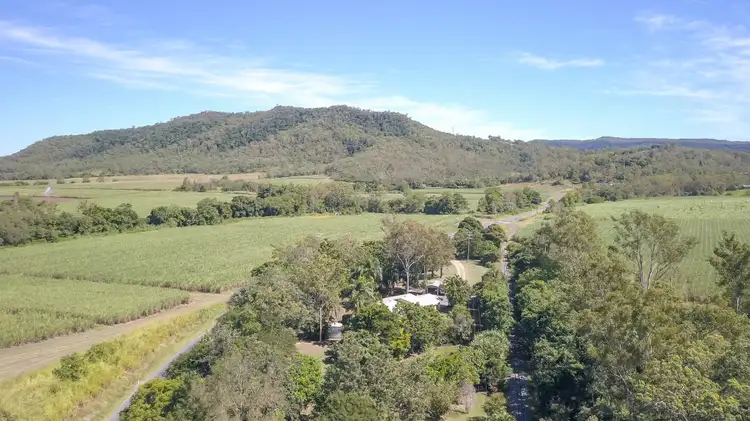 Main view of Homely house listing, 514 Devereux Creek Road, Devereux Creek QLD 4753