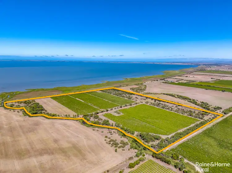 Main view of Homely rural property listing, L2818 Lake Road, Lake Plains SA 5255