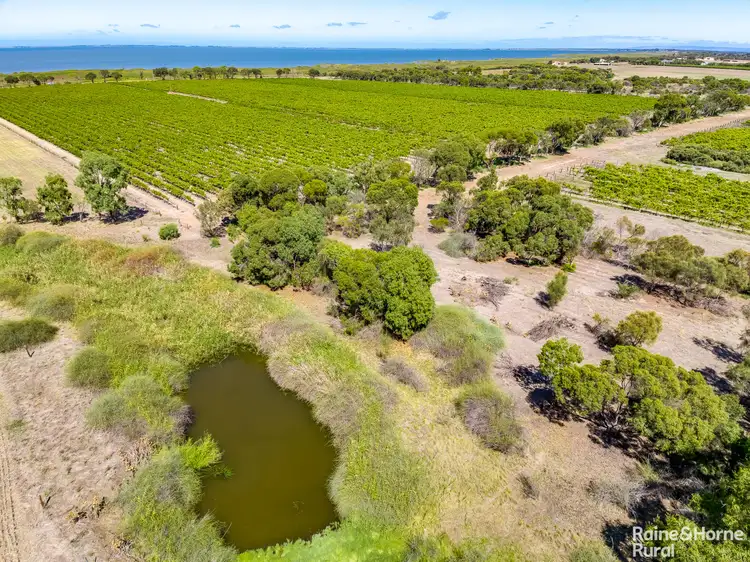 Fourth view of Homely rural property listing, L2818 Lake Road, Lake Plains SA 5255