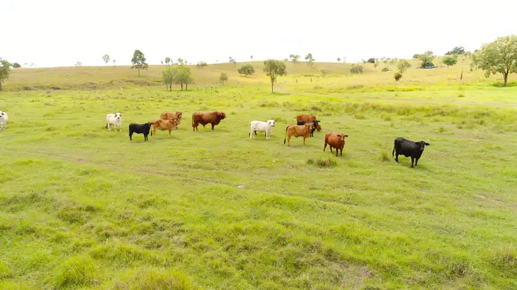Third view of Homely rural property listing, 8120 Isis Highway, Dallarnil QLD 4621