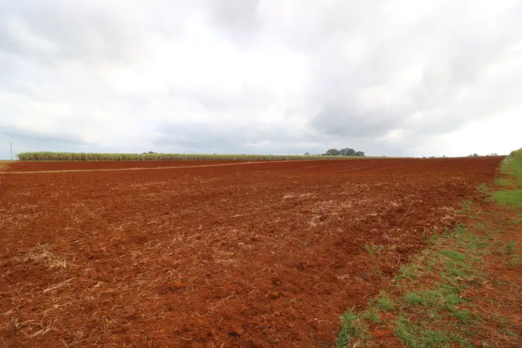 Second view of Homely land listing, LOT 2, 52 Gelsominos Road, South Isis QLD 4660