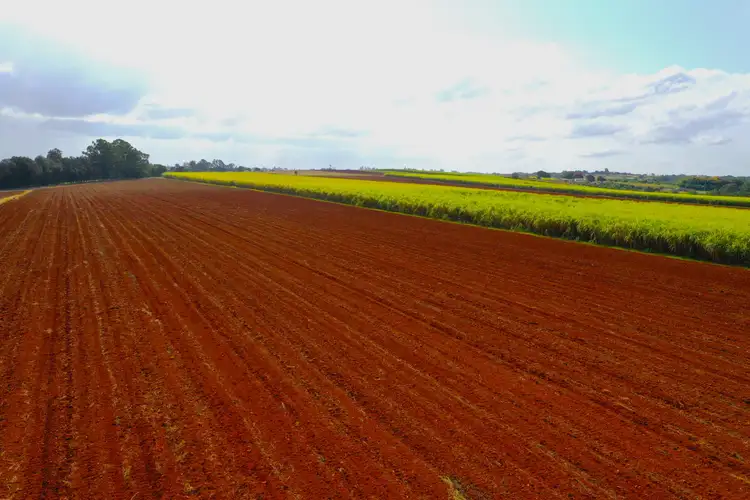 Third view of Homely land listing, LOT 2, 52 Gelsominos Road, South Isis QLD 4660