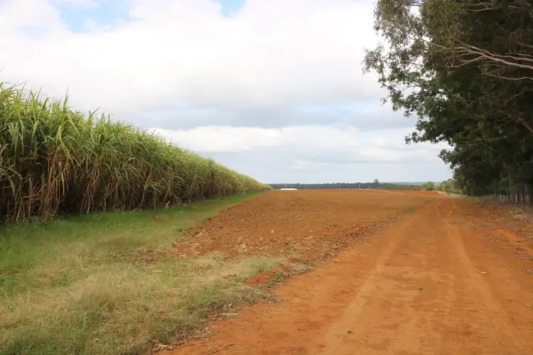 Fourth view of Homely land listing, LOT 2, 52 Gelsominos Road, South Isis QLD 4660