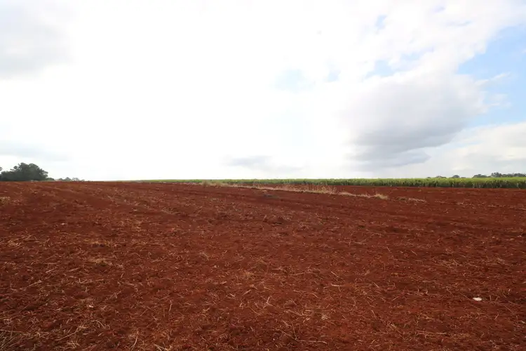 Fifth view of Homely land listing, LOT 2, 52 Gelsominos Road, South Isis QLD 4660