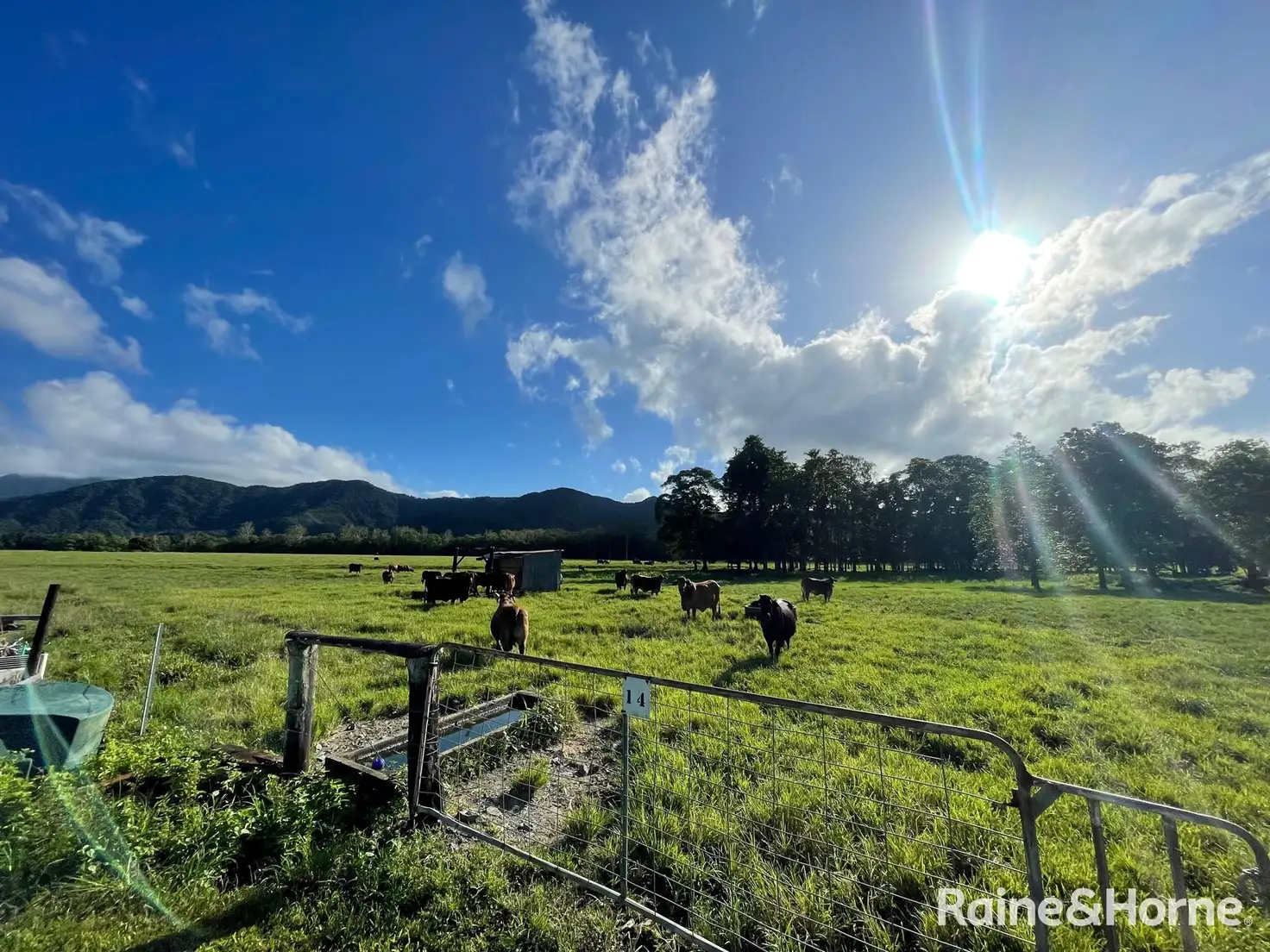 Main view of Homely land listing, 83 Marys Lane, Forest Creek QLD 4873