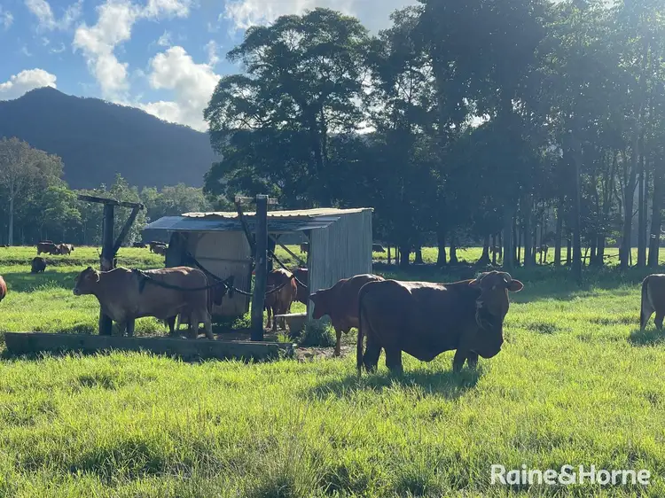 Seventh view of Homely land listing, 83 Marys Lane, Forest Creek QLD 4873