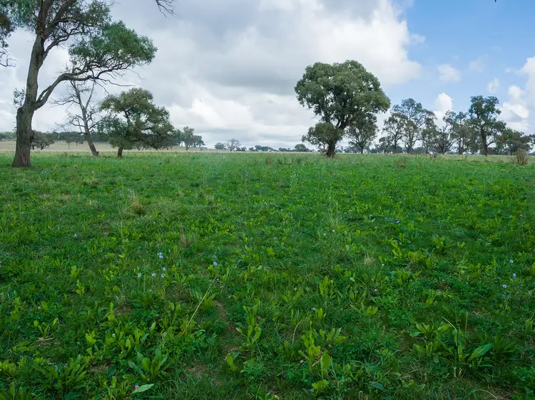 'Strathaven' 1289 Oxley Highway