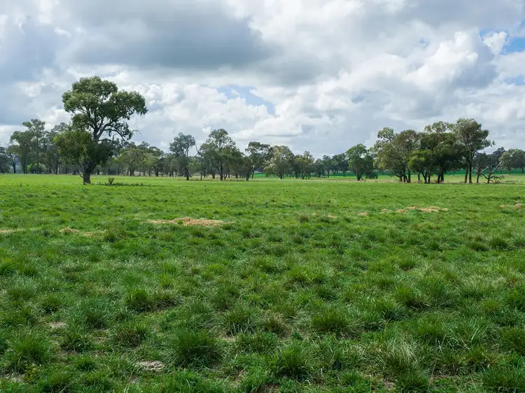 Second view of Homely rural property listing, 'Strathaven' 1289 Oxley Highway, Walcha NSW 2354