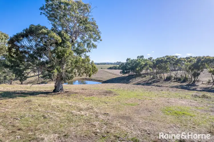 Fourth view of Homely land listing, 95 Murdoch Hill Road, Woodside SA 5244