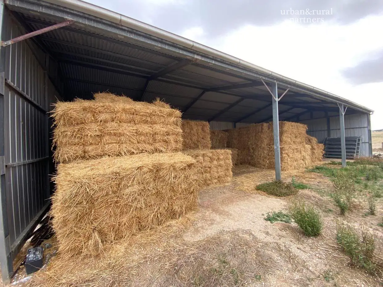 Main view of Homely land listing, LOT 8, 1607 Chaunceys Line Road, Monarto South SA 5254