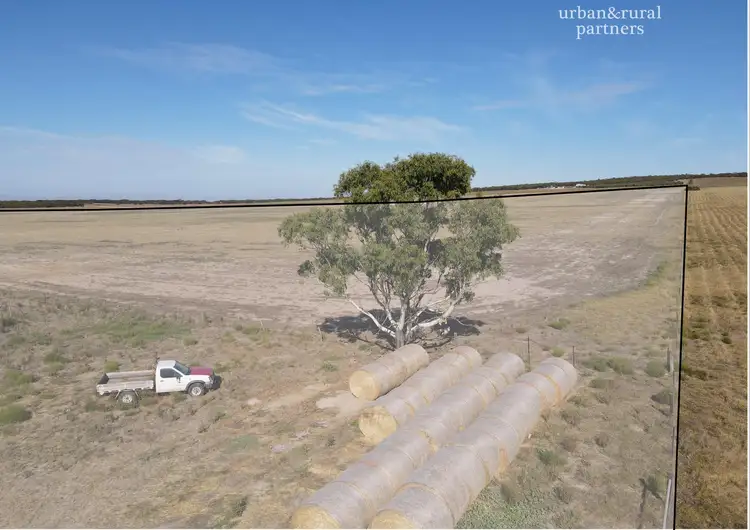 Fourth view of Homely land listing, LOT 8, 1607 Chaunceys Line Road, Monarto South SA 5254