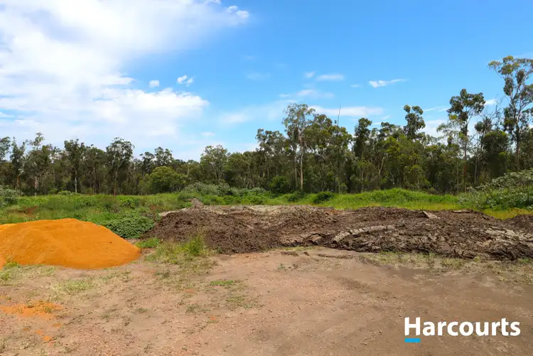 Fifth view of Homely rural property listing, 29790 Bruce Highway, Apple Tree Creek QLD 4660