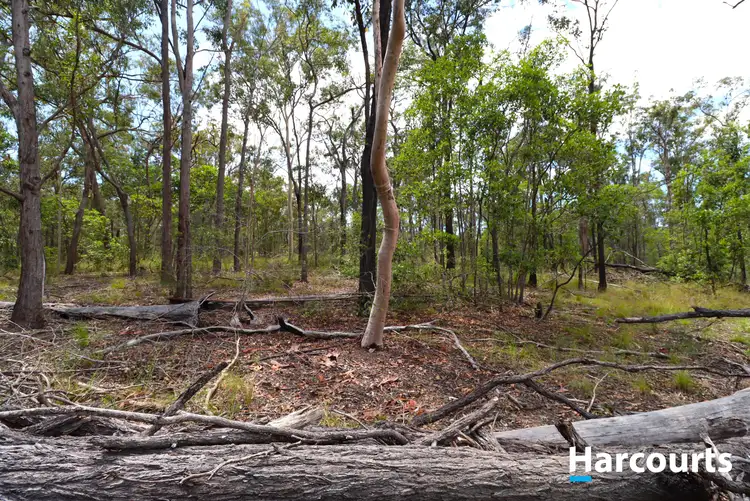 Sixth view of Homely rural property listing, 29790 Bruce Highway, Apple Tree Creek QLD 4660