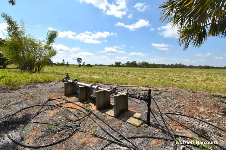 Seventh view of Homely rural property listing, Lot 1, 909 Pine Creek Road, Electra QLD 4670