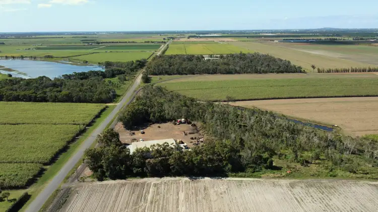 Second view of Homely rural property listing, 163 Gillens Creek Road, Alloway QLD 4670