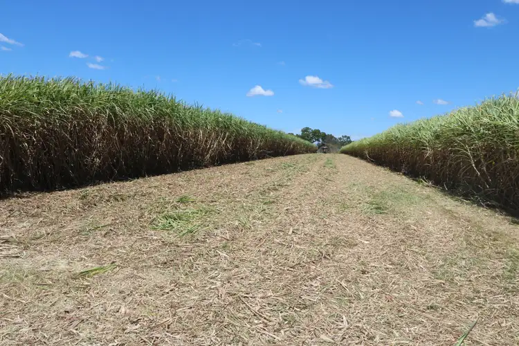 Main view of Homely rural property listing, 3392 Childers Road, Gregory River QLD 4660