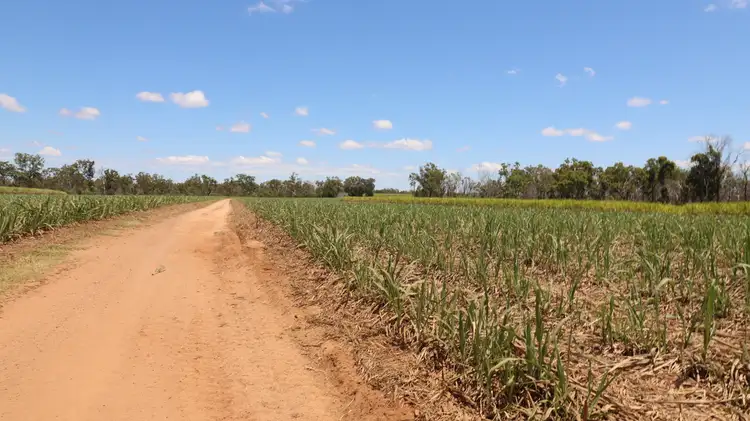 Fifth view of Homely rural property listing, 3392 Childers Road, Gregory River QLD 4660