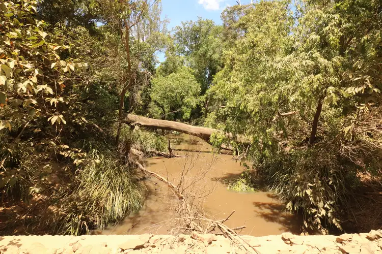 Sixth view of Homely rural property listing, 3392 Childers Road, Gregory River QLD 4660