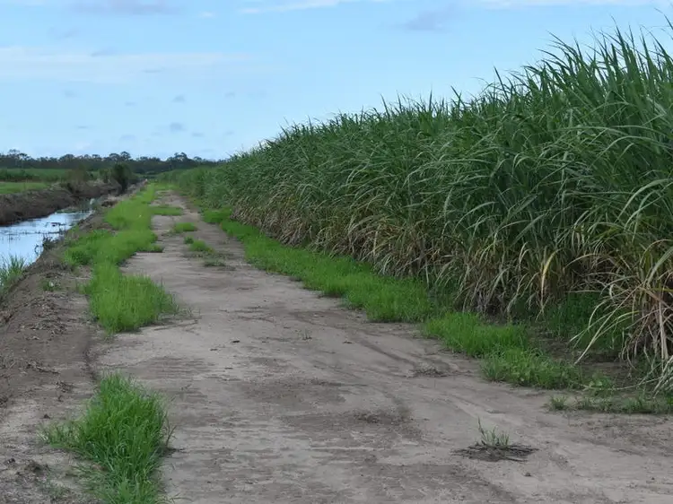 Second view of Homely rural property listing, 101 Fairydale Road, Welcome Creek QLD 4670