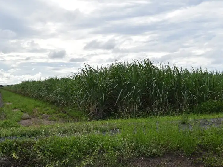 Sixth view of Homely rural property listing, 101 Fairydale Road, Welcome Creek QLD 4670