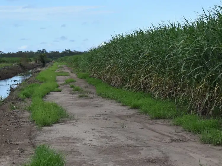 Seventh view of Homely rural property listing, 101 Fairydale Road, Welcome Creek QLD 4670