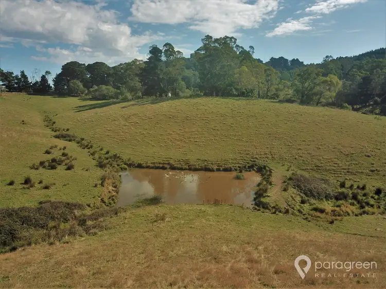Fourth view of Homely rural property listing, 200 Wonga Square Top Road, Wonga VIC 3960