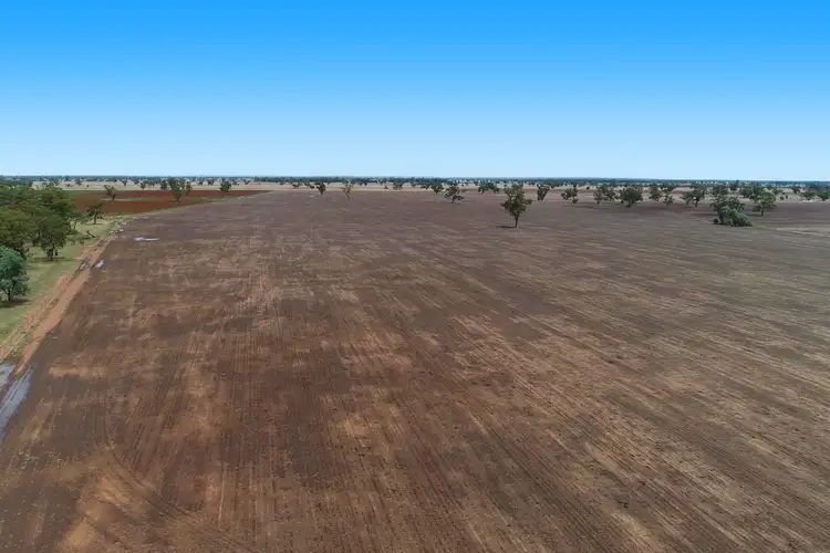 1447 Castlereagh Highway, Gilgandra NSW 2827