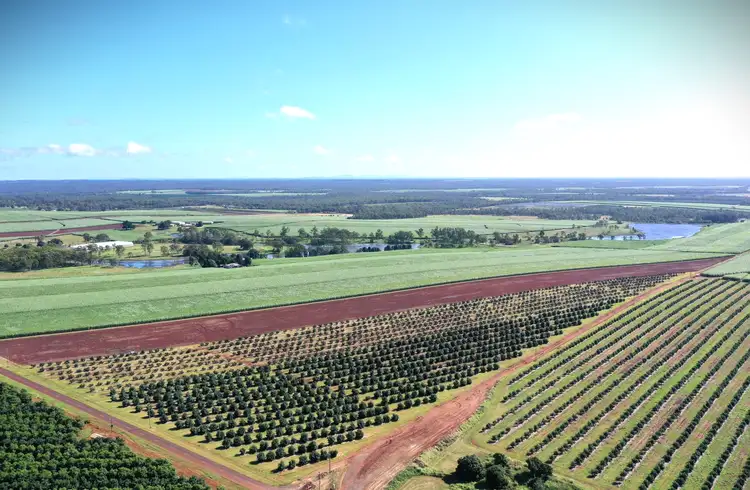Main view of Homely rural property listing, 79 Knockroe Road, North Isis QLD 4660