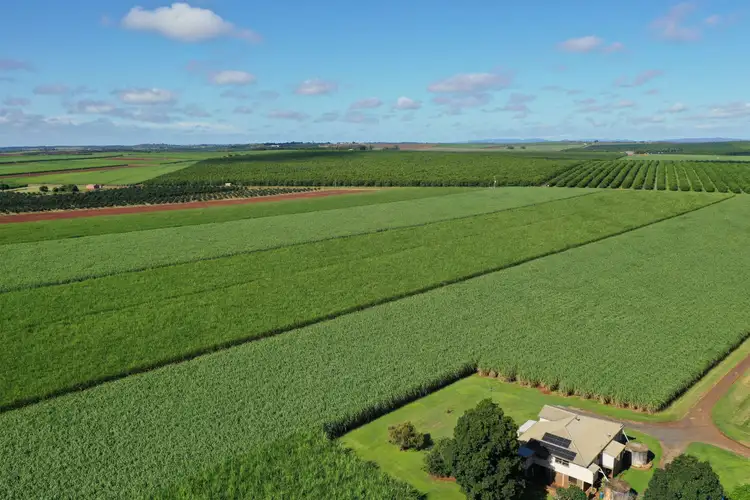 Second view of Homely rural property listing, 79 Knockroe Road, North Isis QLD 4660