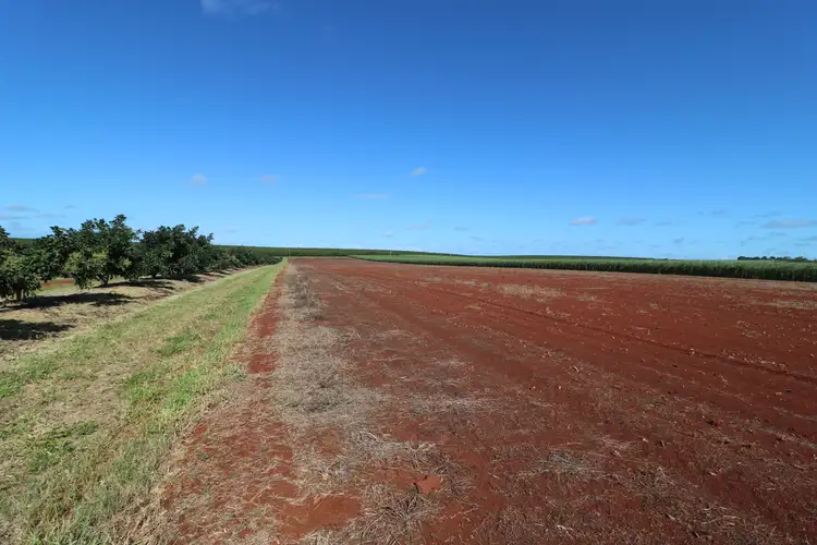 Fourth view of Homely rural property listing, 79 Knockroe Road, North Isis QLD 4660