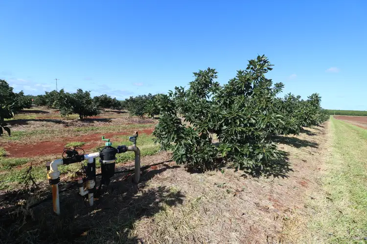 Fifth view of Homely rural property listing, 79 Knockroe Road, North Isis QLD 4660