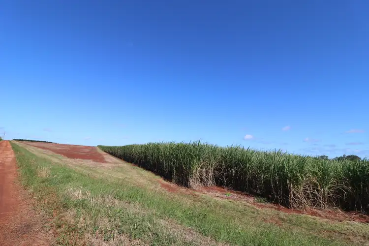 Seventh view of Homely rural property listing, 79 Knockroe Road, North Isis QLD 4660