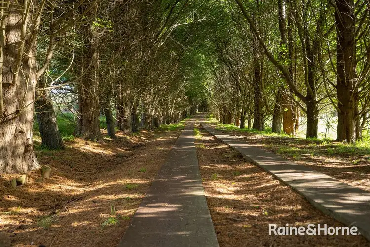 Sixth view of Homely rural property listing, 1100 Old South Road, Mittagong NSW 2575