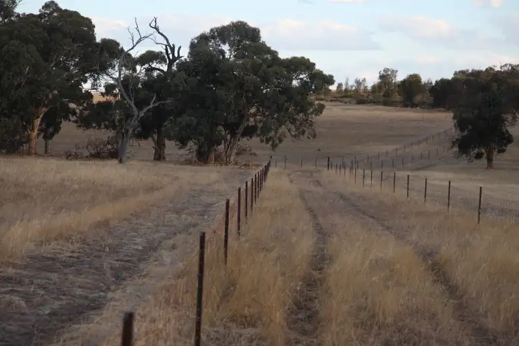 Seventh view of Homely rural property listing, 295 Maitland Road, Kokeby WA 6304