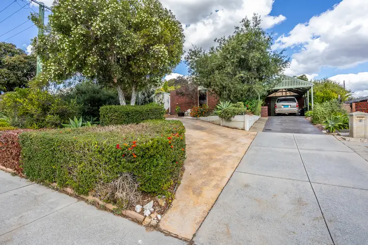 54 Craigie Drive, Craigie WA 6025