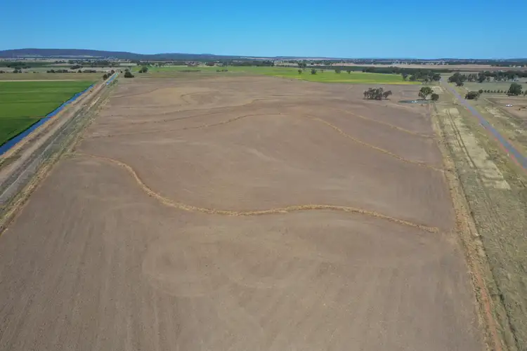 Second view of Homely rural property listing, Lots 1, 2, 91 & 92 Koonadan Road, Leeton NSW 2705