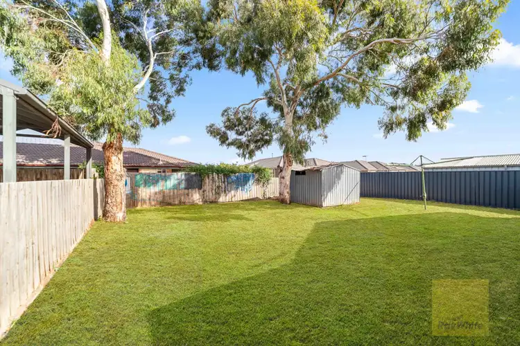 Fifth view of Homely house listing, 41 Grace Street, Melton South VIC 3338