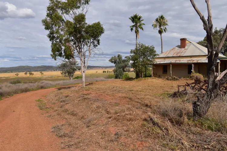233 Bestwicks Lane Suntop via, Wellington NSW 2820