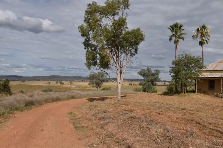 Second view of Homely rural property listing, 233 Bestwicks Lane Suntop via, Wellington NSW 2820