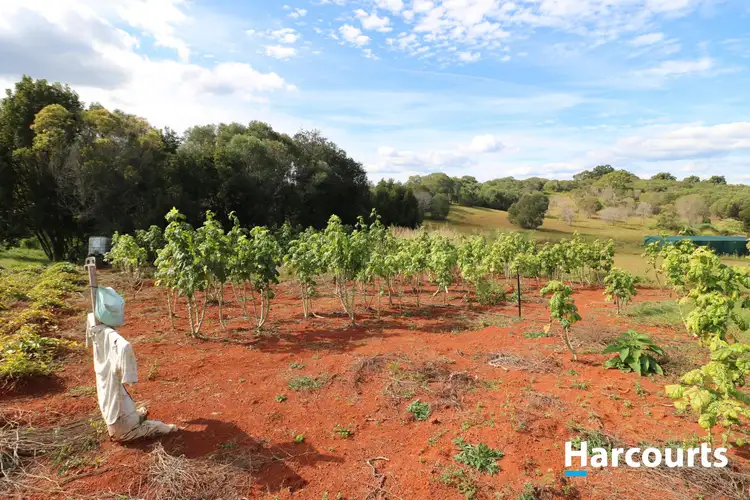 Fifth view of Homely rural property listing, 63 South Isis Road, South Isis QLD 4660