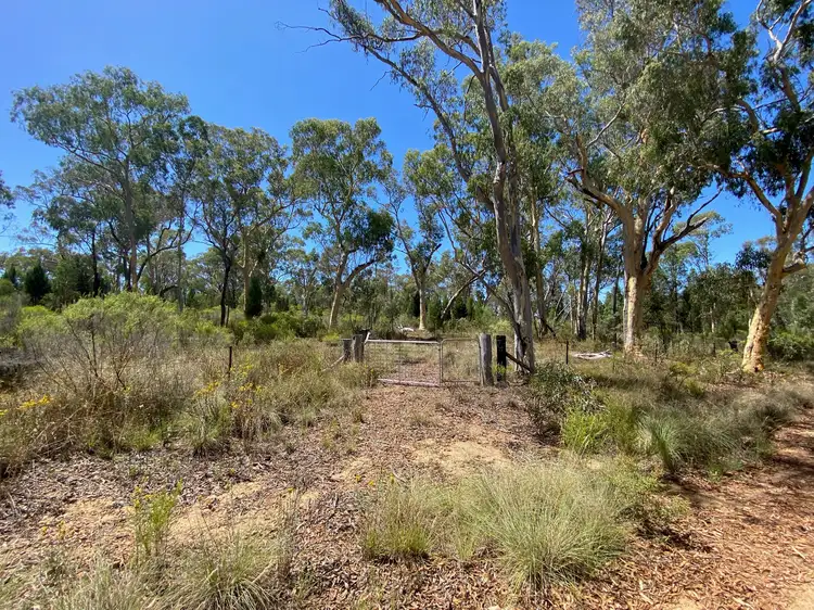 4166 Baradine Road, Coonabarabran NSW 2357