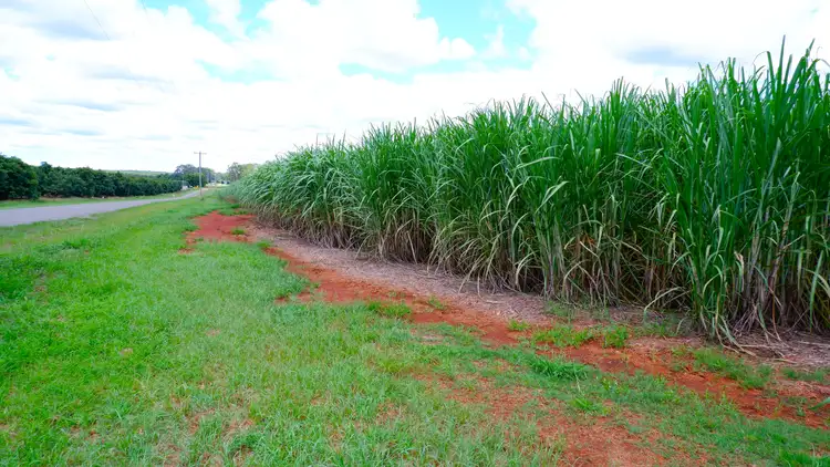 Third view of Homely rural property listing, Lot 1 Station Road, Doolbi QLD 4660