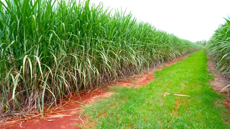 Fourth view of Homely rural property listing, Lot 1 Station Road, Doolbi QLD 4660